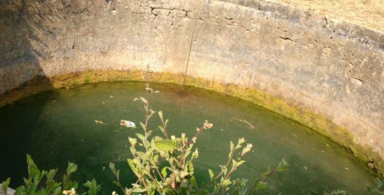 Screen Shot 2017-02-14 at 3.05.21 PM