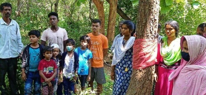 Villagers from Odisha tie Rakhi on Tree; True love for Trees