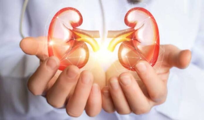 ultrasound propulsion