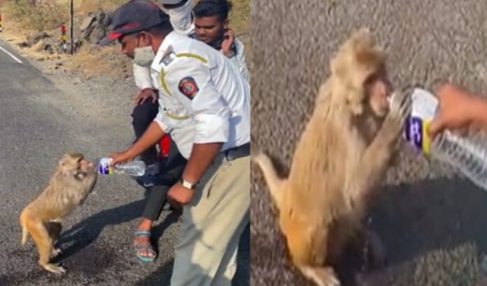 humanity of traffic police constable-giving-water-to-monkey