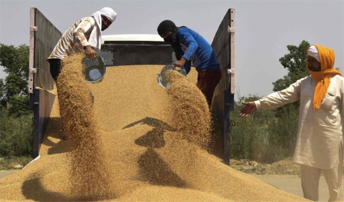 wheat-prices-surged-to-a-new-record-high-on-monday-after-india-export-ban