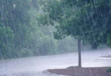 Weather: Monsoon Rain Continues In Several Parts Of Odisha Weather: Monsoon Rain Continues In Several Parts Of Odisha