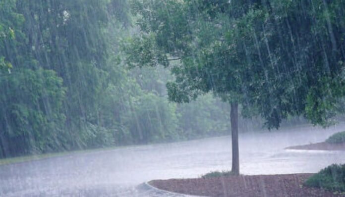 Weather: Monsoon Rain Continues In Several Parts Of Odisha