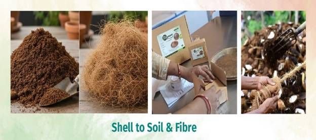 Shell To Soil & Fibre From Shell to Soil: India’s Urban Local Bodies Recycle Coconut Waste into Economic and Environmental Gains